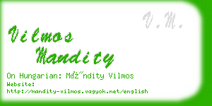 vilmos mandity business card